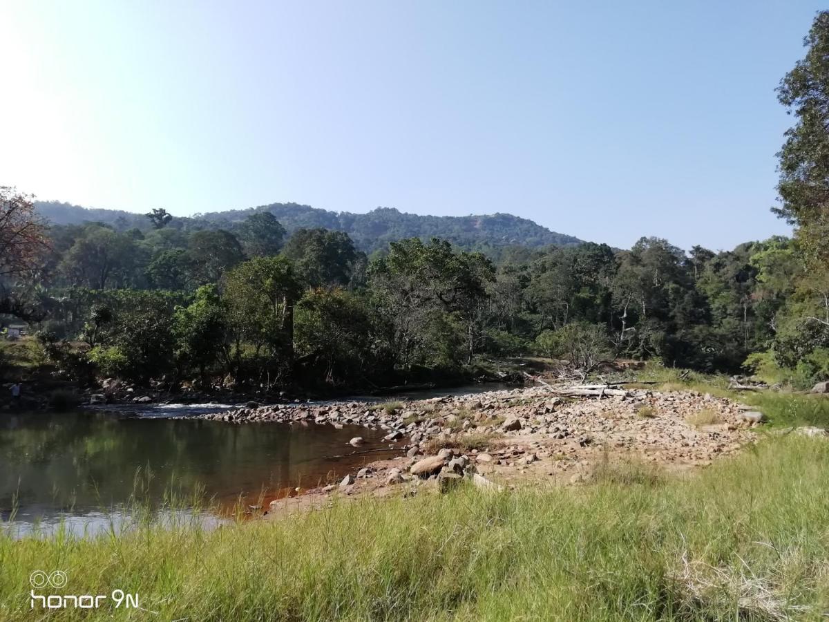 Coorg River Rock Camping Мадікері Екстер'єр фото